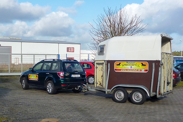 XXL - KFZ Sticker / Aufkleber